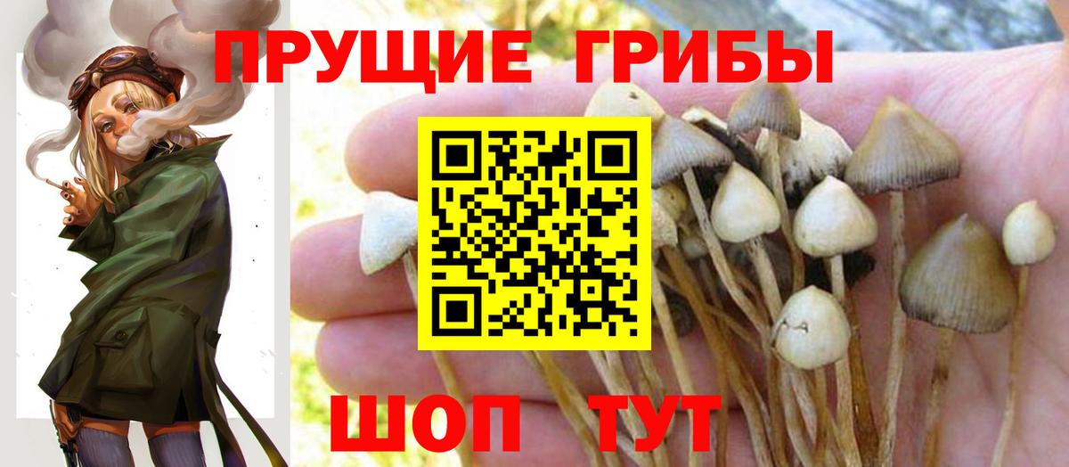 Псилоцибиновые грибы прущие грибы  Вход с VPN  Галлюциногенные грибы ЛСД  Абакан 